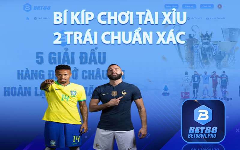 Bí Kíp Chơi Tài Xỉu 2 Trái Chuẩn Xác